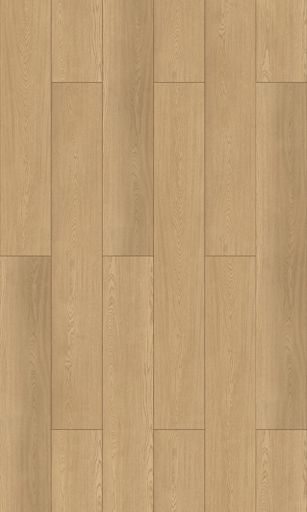 Lưng khô LVT