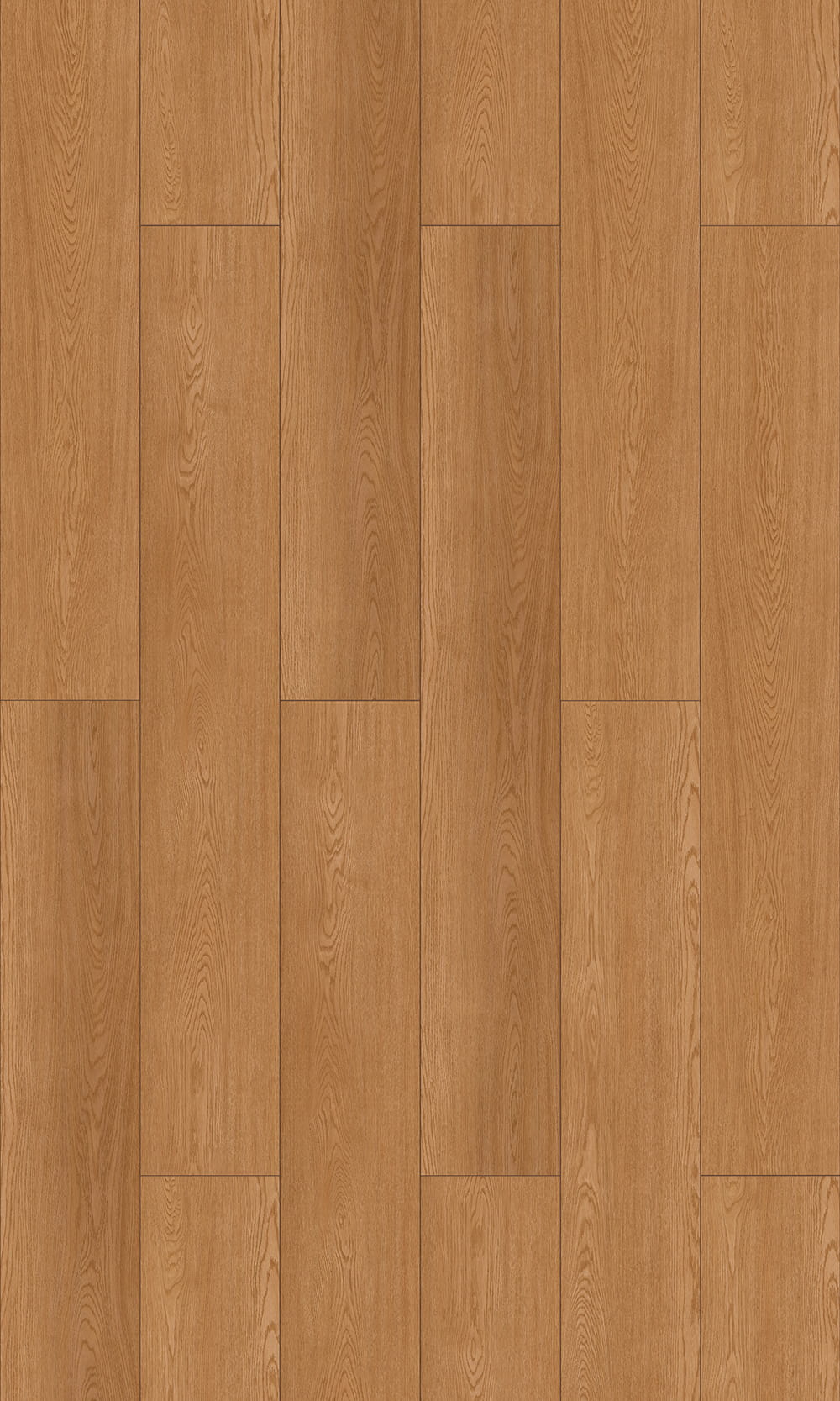 Lưng khô LVT